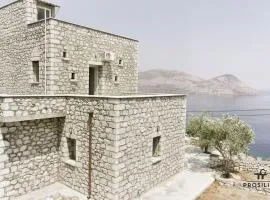 Prosilion Stone House