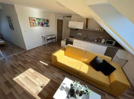 Apartmány Skryjova，位于布尔诺的酒店