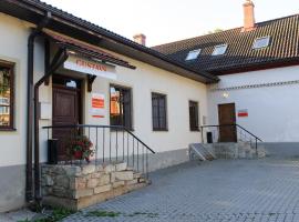 古斯塔夫酒店，位于采西斯的酒店