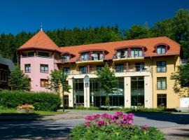 Hotel Habichtstein，位于阿里克西斯巴德的酒店