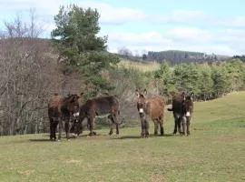 gite à la ferme
