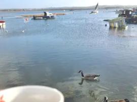 Holes Bay Nature Reserve, Poole, right next to the Water，位于HamworthyPowerboat Training UK附近的酒店