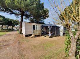 Camping à la Cotinière-Piscine-Bungalow cosy entre Océan et Pinède，位于拉康提内勒的露营地