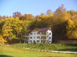 Pensiunea Casa Bella，位于Bughea de Sus的酒店