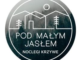 Pod Małym Jasłem，位于齐斯纳的度假短租房