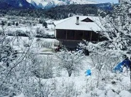 Bujtina Vila Dodo
