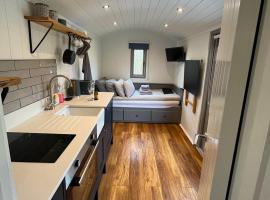 Luxury Shepherds Hut - The Moorhen by the lake，位于约克的度假短租房