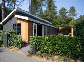 Modern house with roof, located in a holiday park in Rhenen，位于雷嫩的木屋