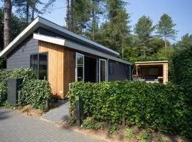 Modern house with roof, located in a holiday park in Rhenen