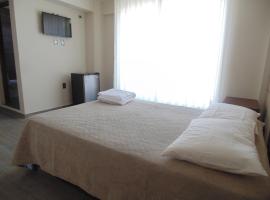 Hostal Sky，位于Capitan Oriel Lea Plaza Airport - TJA附近的酒店