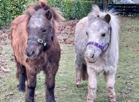 Farm Stay MAPLE Cottage at Wilindi Estate，位于亚伯的酒店