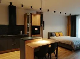 Apartament River House