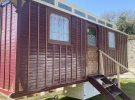 Vintage Showman's Wagon For Two Close to Beach