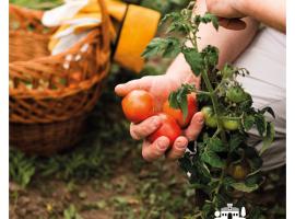 Agriturismo Aia Antica，位于帕杜拉的酒店