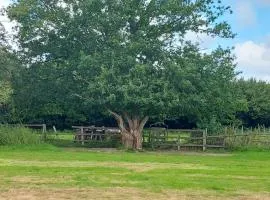 Pitch your own tent on camp field at Hopgarden Camping TN5 6QX - NO BEDS INCLUDED