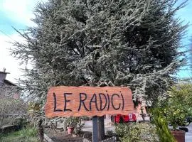 LE RADICI
