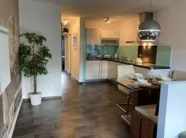 Mountain View Apartment