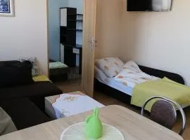 Apartament Borowiacki