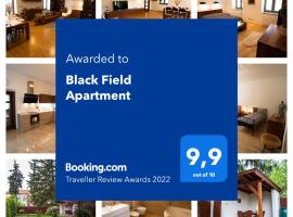 Black Field Apartment，位于布尔诺Villa Tugendhat附近的酒店