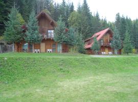 Helmcken Falls Lodge Cabin Rooms and RV Park，位于克利尔沃特的酒店