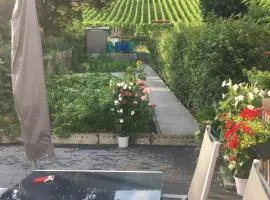 Ferienwohnungen Weiherhausstraße 6