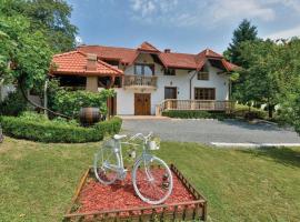 Villa Barbara/Holiday Homes with a story/Varaždin，位于Vinica的乡村别墅