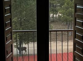 Hostal Ciudad Encantada，位于昆卡的酒店