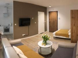 Apartament Rzeszów Centrum，位于热舒夫Nowy Świat Shopping Centre附近的酒店