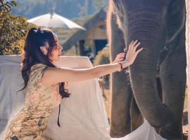 3 Pok Maewang jinxiang Gold elephant park，位于Ban Mae Sapok Noi的酒店