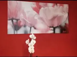 CORAZON RIBEIRA SACRA