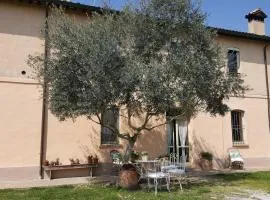 B&B La Palazza
