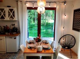 Między Brzozami，位于普鲁斯基的酒店