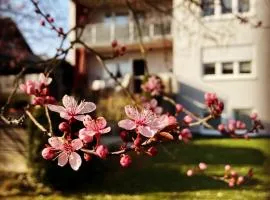 Ferienwohnung im Aalbachtal - Uettingen bei Würzburg