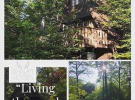 Chalet Woods，位于杜柏的酒店