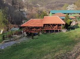 Žubor Vrela Lisine，位于代斯波托瓦茨的酒店