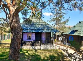 El Paso City, Zlatibor - Unique Wooden Cottages, Treehouse, Wild West Rooms, accommodation 1-6 people，位于兹拉蒂博尔的酒店