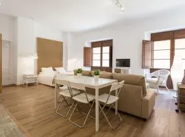 Santiago Premium loft I