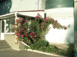 motel Pid Strihoyu，位于克列缅丘格的酒店