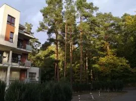 Nadmorski apartament w lesie