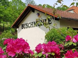 Biohof Buschmühle，位于Königsfeld温塞尔伯格大教堂附近的酒店