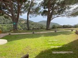 Auberge Coralli
