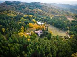 Albergo Villa San Michele