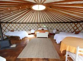 Chestnut Yurt