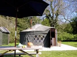 Beech Yurt