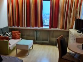 Eine Zimmer Apartment，位于斯图加特的酒店