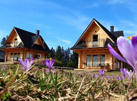 Jędroskowe Chatki，位于维托韦的酒店