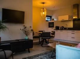 Appartement - Kon Emmaweg 26 Vrouwenpolder 'Uitspanning Oranjezon'