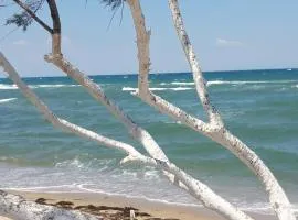 Perea white suites