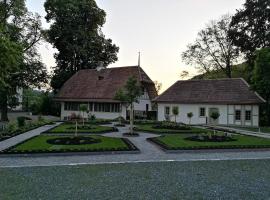 Resort Schloss Rued，位于Schlossrued的家庭/亲子酒店