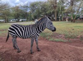 Africa Safari Lake Manyara located inside a wildlife park，位于姆托瓦姆布的豪华帐篷